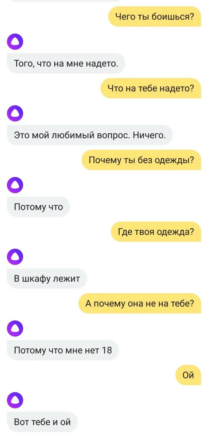 Где тебя носило я тебя любила. Переписка с Алисой. Смешные переписки с Алисой. Переписываться с Алисой.