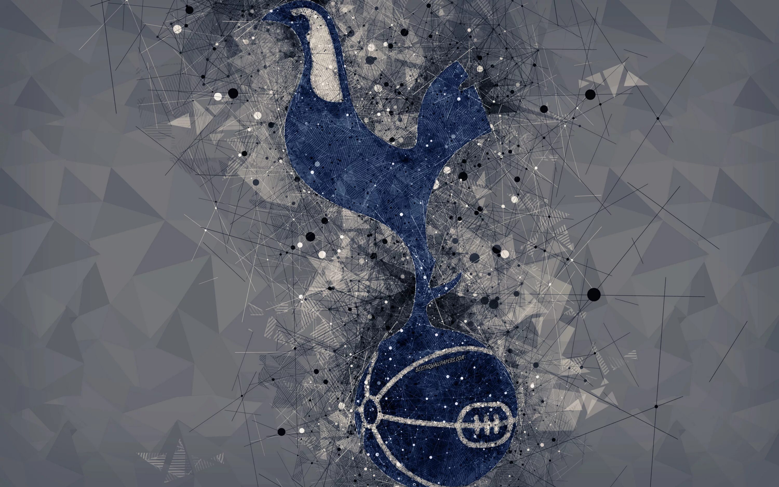 Tottenham hotspur. Tottenham hotspur обои. тоттенхэм лого. тоттенхэм арт. тоттенхэм на рабочий стол.