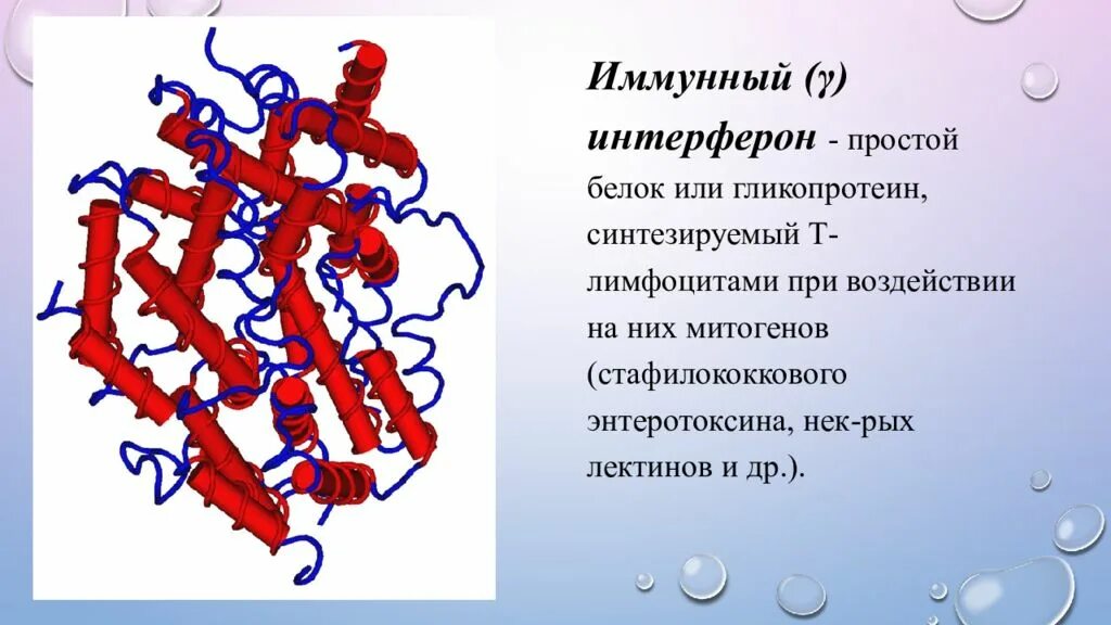 Укажите функцию интерферона