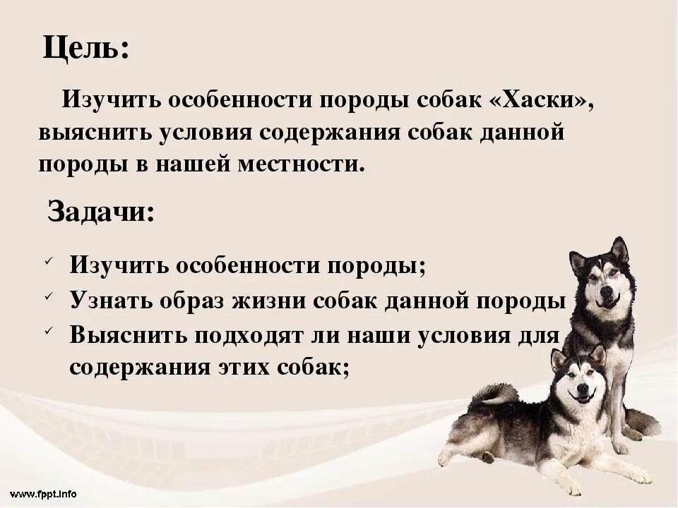 Как ухаживать за питомцем в лайке