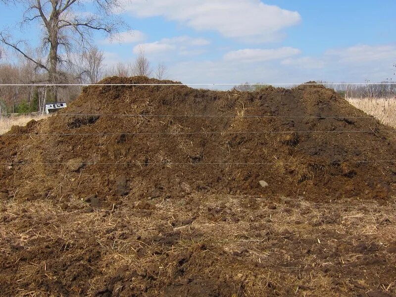 Гумус это компост. Плодородный грунт. Конский перегной самосвалом. Плодородная почва. Глина навозная.