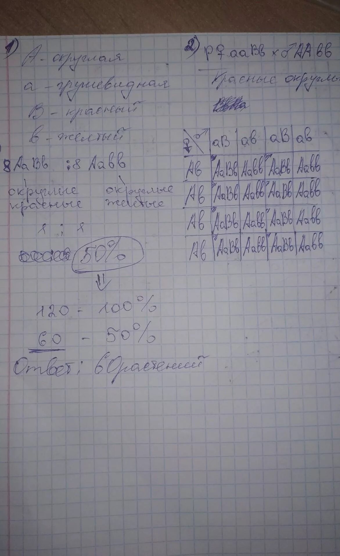 У томатов округлая форма плодов а доминирует над грушевидной а. У томатов округлая форма. У томатов круглая форма плодов а доминирует. У томатов круглая форма плодов.