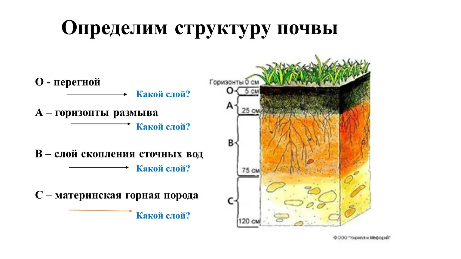 Определения почвы состав почвы. Почвы состав строение и структура. Чернозем схема почвы. Строение почвы схема. Состав почвы 6 класс география