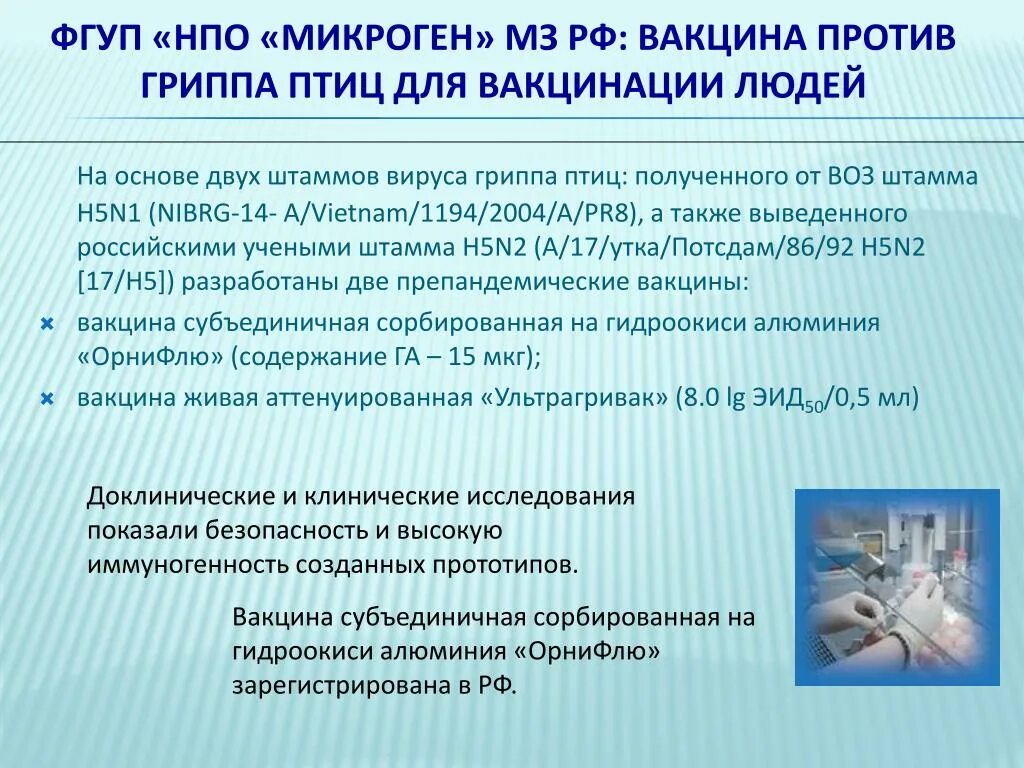 Кацинацияпротив гриппа птиц. Субъединичная вакцина от гриппа. Вакцина против гриппа птичьего гриппа.