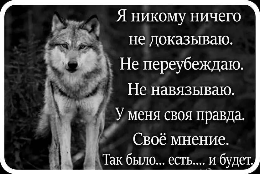 И ничего не надо просто будь. Не надо никому ничего Дока. Никогда не оправдывайся и никому ничего не доказывай. Я никому ничего не доказываю. Никому ничего доказывать не буду.