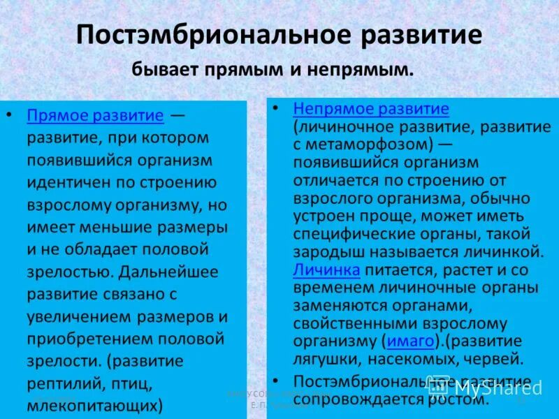 Постэмбриональное развитие таблица 10 класс. Этапы прямого развития. Этапы постэмбрионального развития организмов. Прямое и Непрямое развитие таблица.