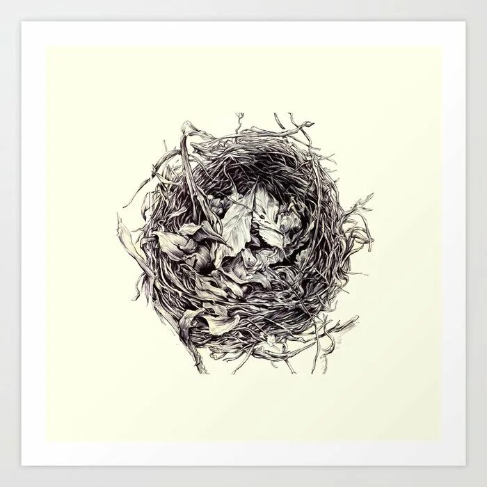Nest create