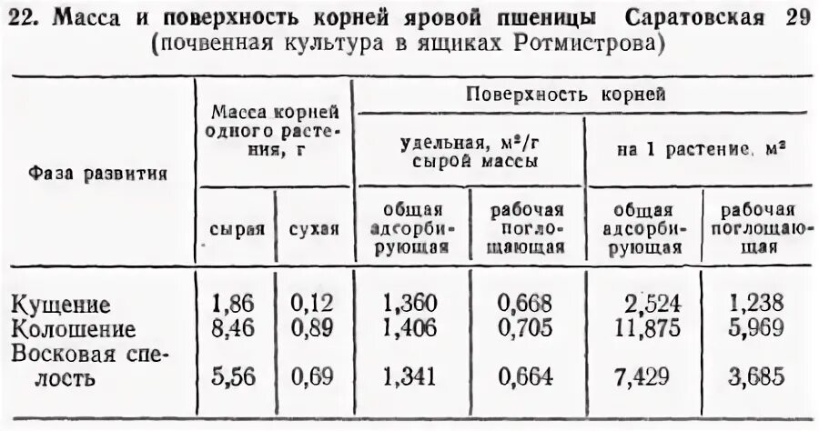 Корневой системы пшеницы