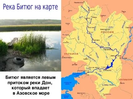 Где устье реки дон