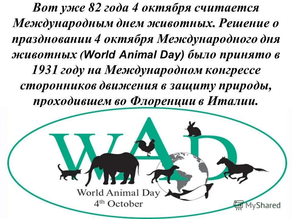 всемирный день защиты животных 2021. международный день защиты животных. 4 октября всемирный день животных презентация. всемирный день животных. день защиты животных.