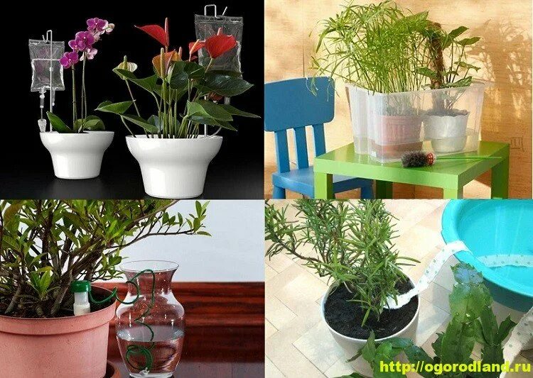 Фитильный автополив. Полив цветов в отъезде. Увлажнитель для комнатных растений. Комнатные растения полив в отпуске. Фитильный полив комнатных растений.