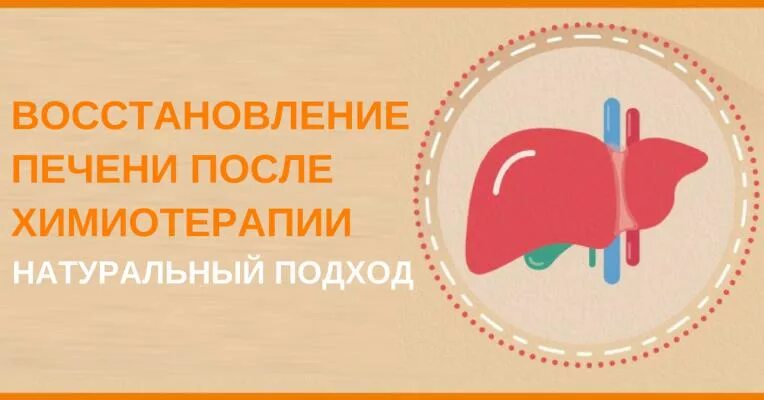 Как восстановить печень после длительного. Печень после химиотерапии восстановление. Препараты для восстановления печени после химиотерапии. Восстанавливающие препараты после химиотерапии. Защита печени после химиотерапии препараты.