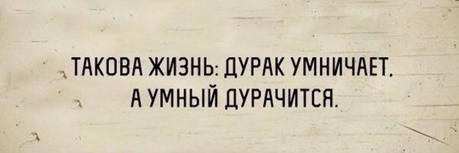 Господи прости все согрешения. Прости мне старые грехи дай сил на новые. Цитаты про дураков юмор. Дай сил на новые грехи. Смешные цитаты про дураков.