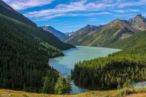 Катунский заповедник