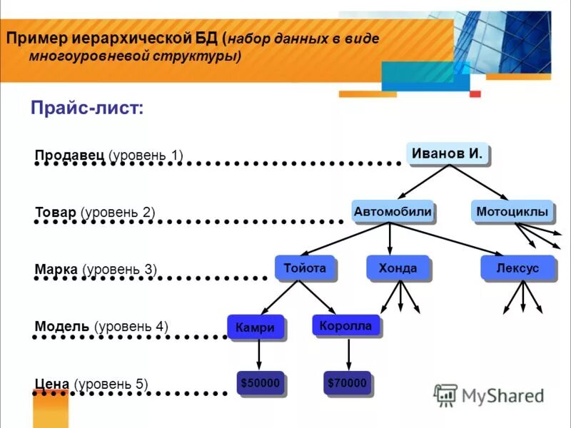 Страница первого уровня. Схема иерархической структуры. Иерархическая структура базы данных. Многоуровневая иерархическая структура. Пример иерархической структуры данных.