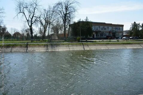 Фото полтавской