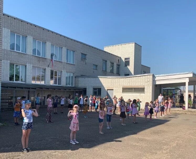 Алтайский край михайловский район школа. Школа новокосино 1 в. Михайловский район алтайский край сош 1. Школа новокосино новокосинская 13 б. Николаевка алтайский край михайловский.