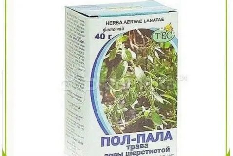 Почечный с пол полой