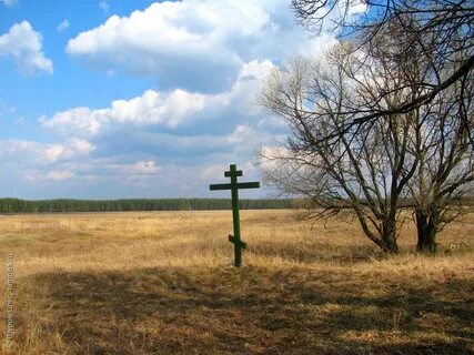 Погода в петрушино московская область орехово