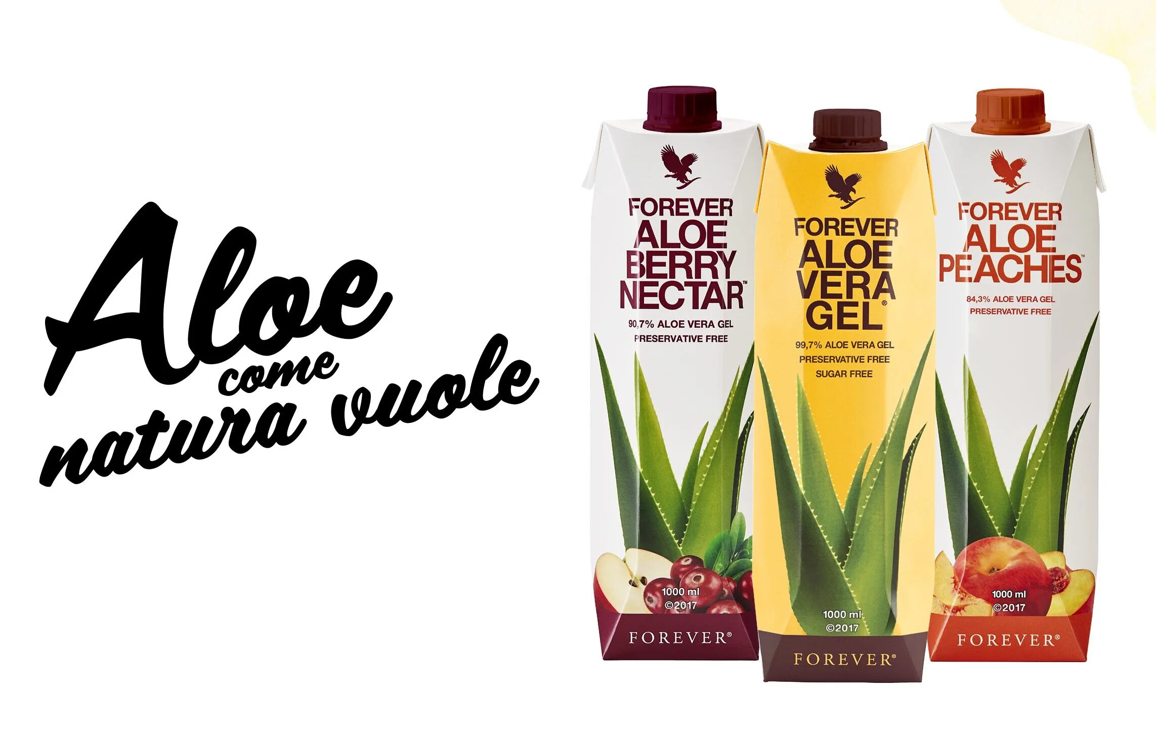 Forever aloe vera. Форевер алоэ.