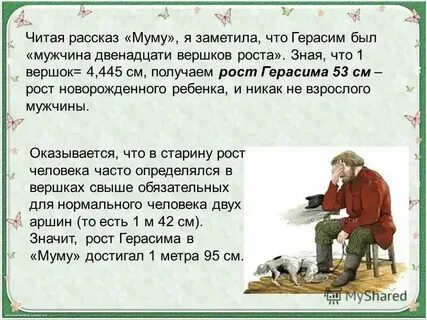 Двенадцати вершков роста