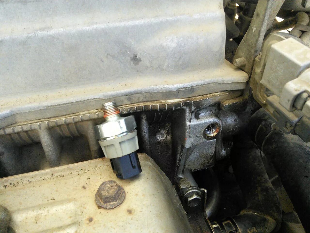 Датчик давления масла тойота корса 1993. Датчик давления масла тойота 3s fe. Датчик давления масла 3s fe. Датчик давления масла bosch для 4s fe. Тойота харриер датчик масла.