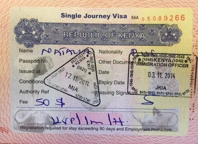 Нужна ли виза при транзите. Кения виза. Кения виза для россиян. Электронная виза в Кению. Виза в Кению как выглядит.