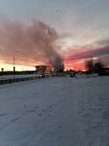 Волонтеры верхняя пышма. Пропавшая 2022. Подслушано верхняя пышма. Подслушано верхняя пышма. Подслушано верхняя пышма и среднеуральск 8.