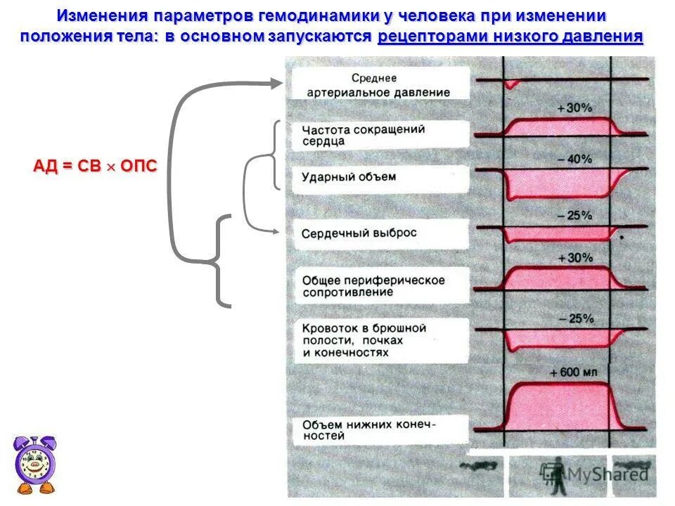 При резком изменении положения тела человека. Головокружение при вставании и при повороте головы. Давление при изменении положения тела. Почему кружится голова почему кружится голова. Резкое изменение положения тела.