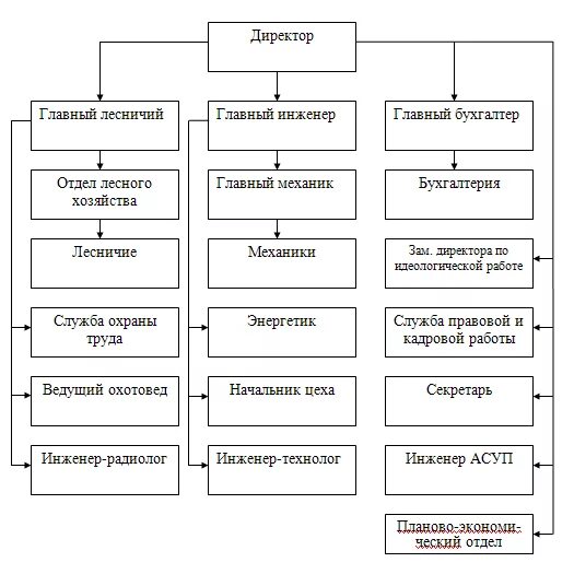 Структура авиационной охраны лесов. Организация охраны лесов от пожаров, показатели. Структура лесного хозяйства россии в схеме. Организация лесного предприятия. Структура организации лесного хозяйства.