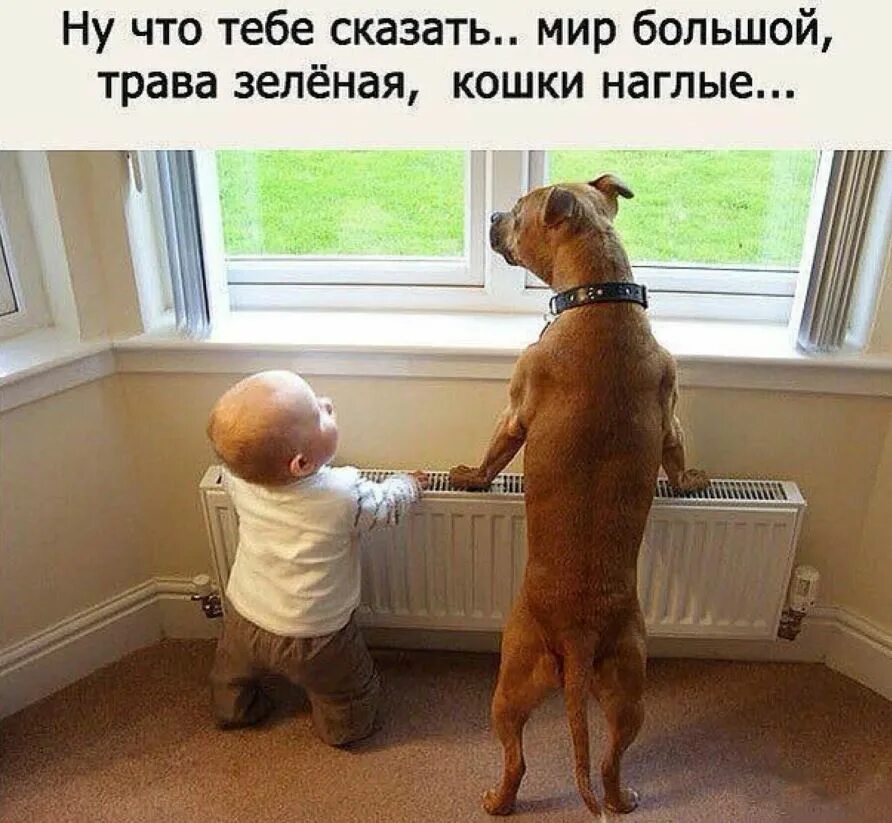 Придумай очень смешно