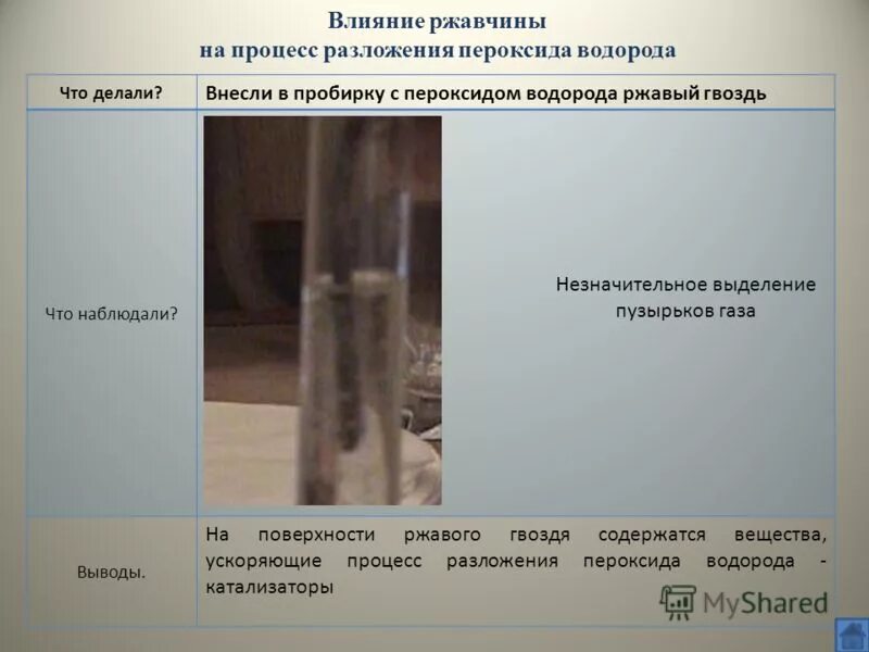 Мрамор соляная кислота известковая вода. Разложение пероксида водорода опыт. Каталаза реакция с перекисью водорода. Пробирка с пероксидом водорода. Разложение перекиси водорода в пробирке.