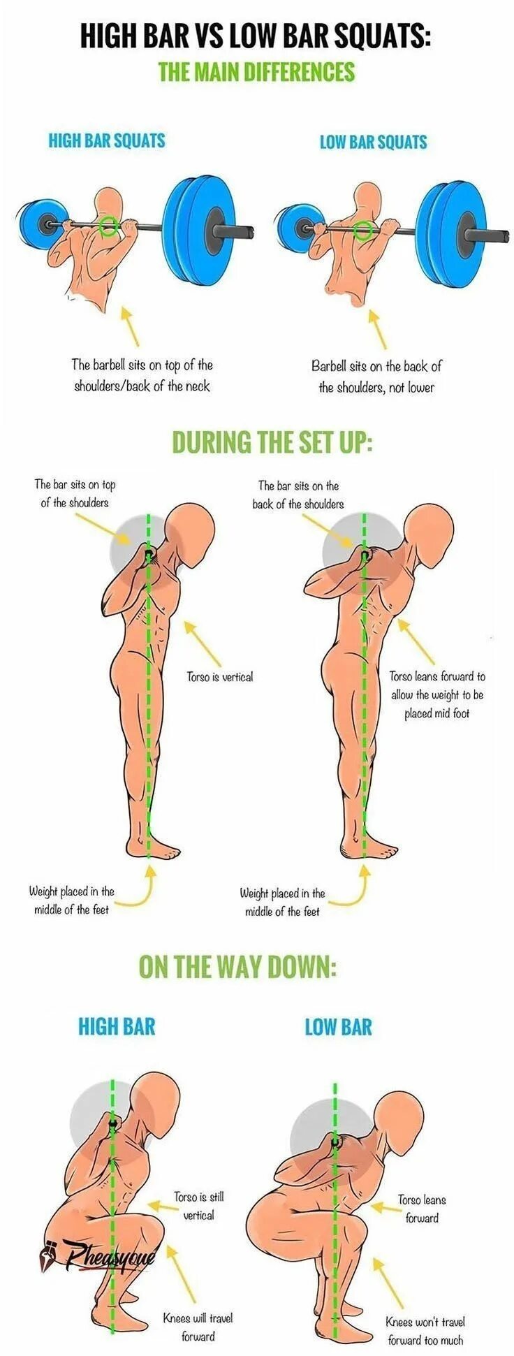 High priced перевод. Low bar squat. high bar squat. low bar присед. squat перевод.