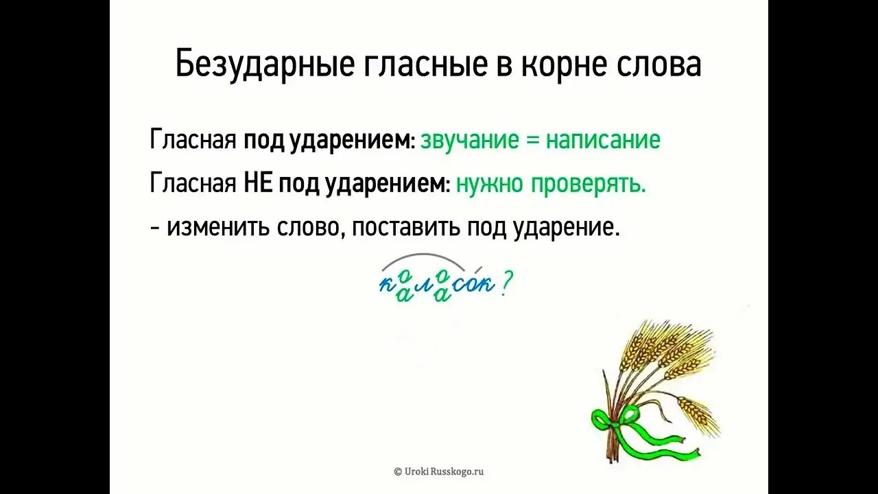 Безударные гласные в слове стояла. Правописание безударных гласных 5 класс. Правописание безударных гласных в корне 5 класс. Безударная гласная в корне 5 класс. Написание безударных в корне.
