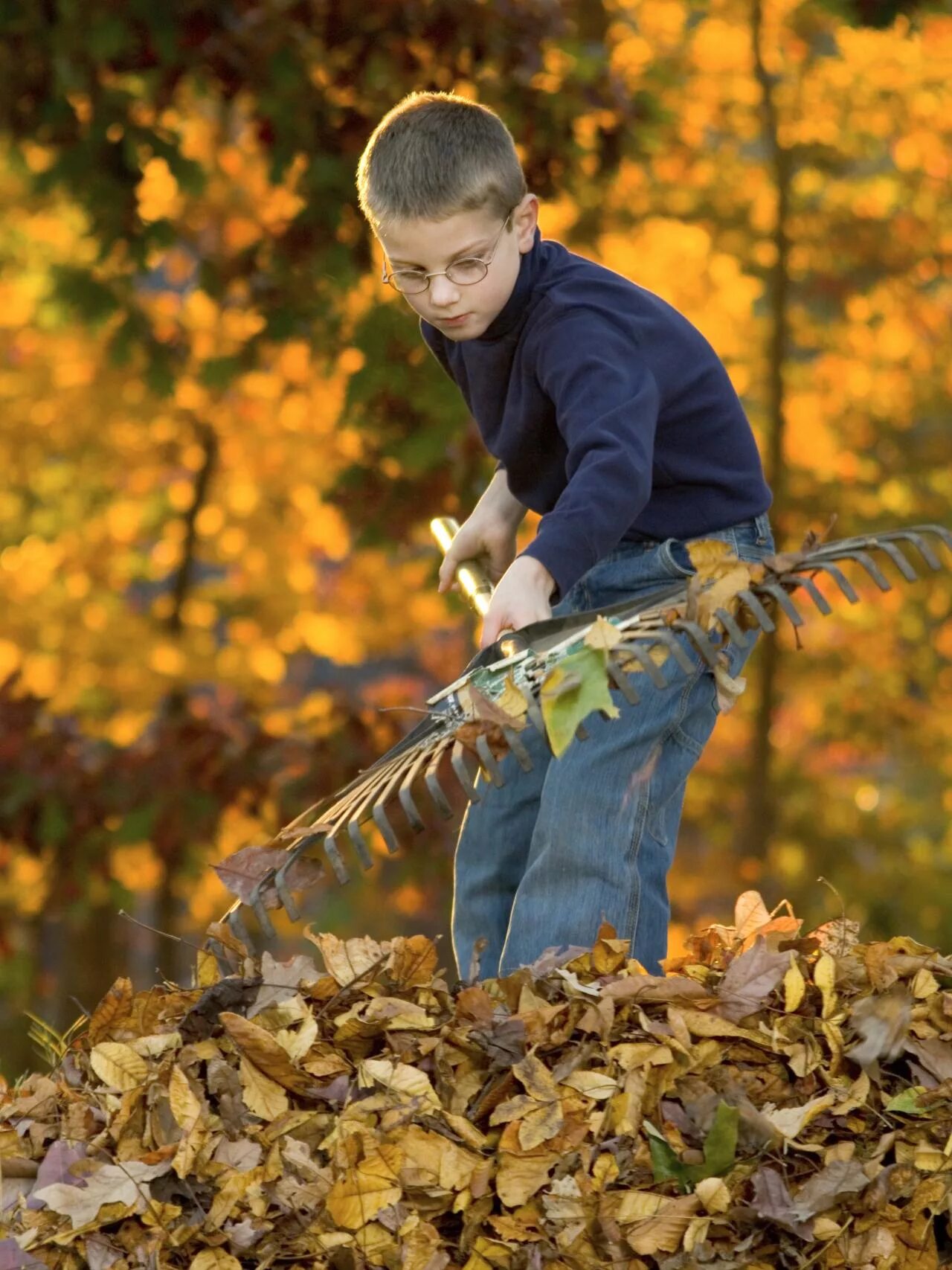 Нужно ли убирать листву. "The leaves of Fall" "Oliver". Сгребать листья. Осень люди. Сгребаю листья в саду.