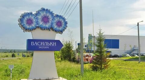 Первомайская 57 васильки