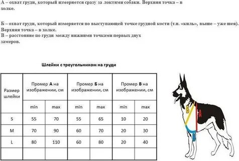 Как подобрать размер шлейки для собаки