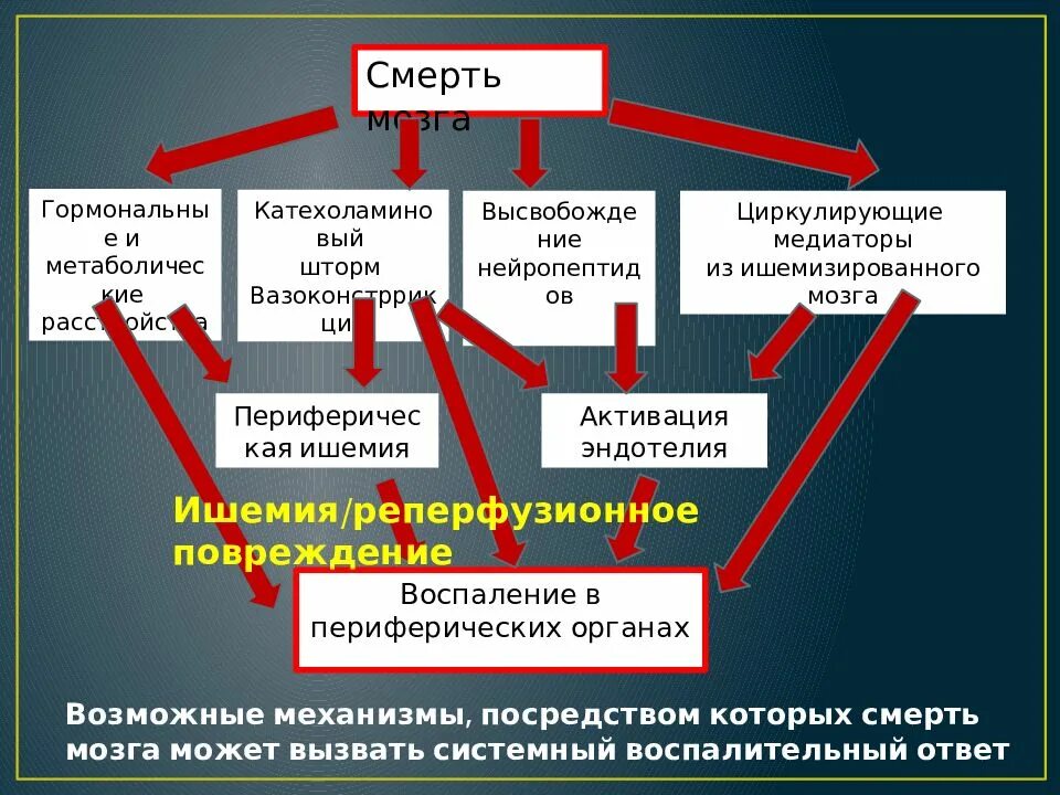 Врачи констатировали смерть. Констатация смерти презентация. Констатация смерти головного мозга. Констатация смерти алгоритм. Исследование, проводимое для констатации смерти мозга.