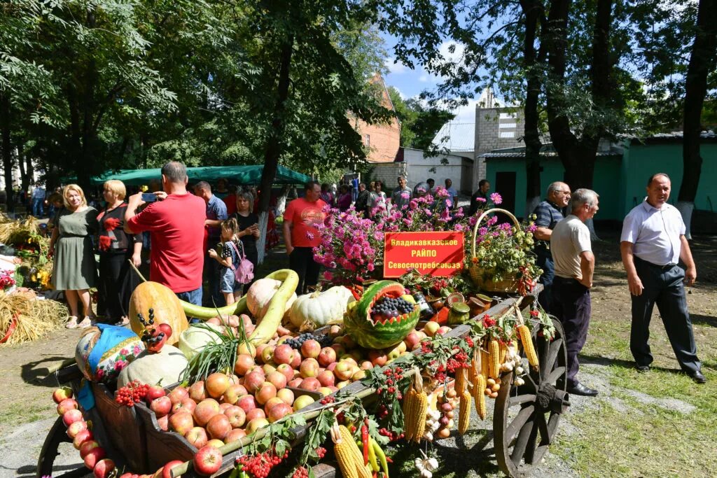 Архонская Северная Осетия. Станица Архонская Владикавказ. Парк Архонская. Жители станица Архонская. Погода в станице архонская