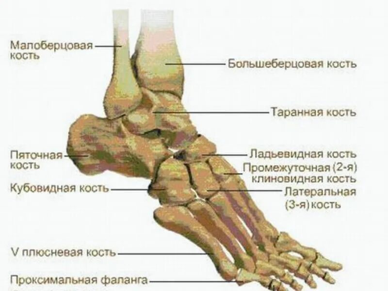 Как называется боль в костях