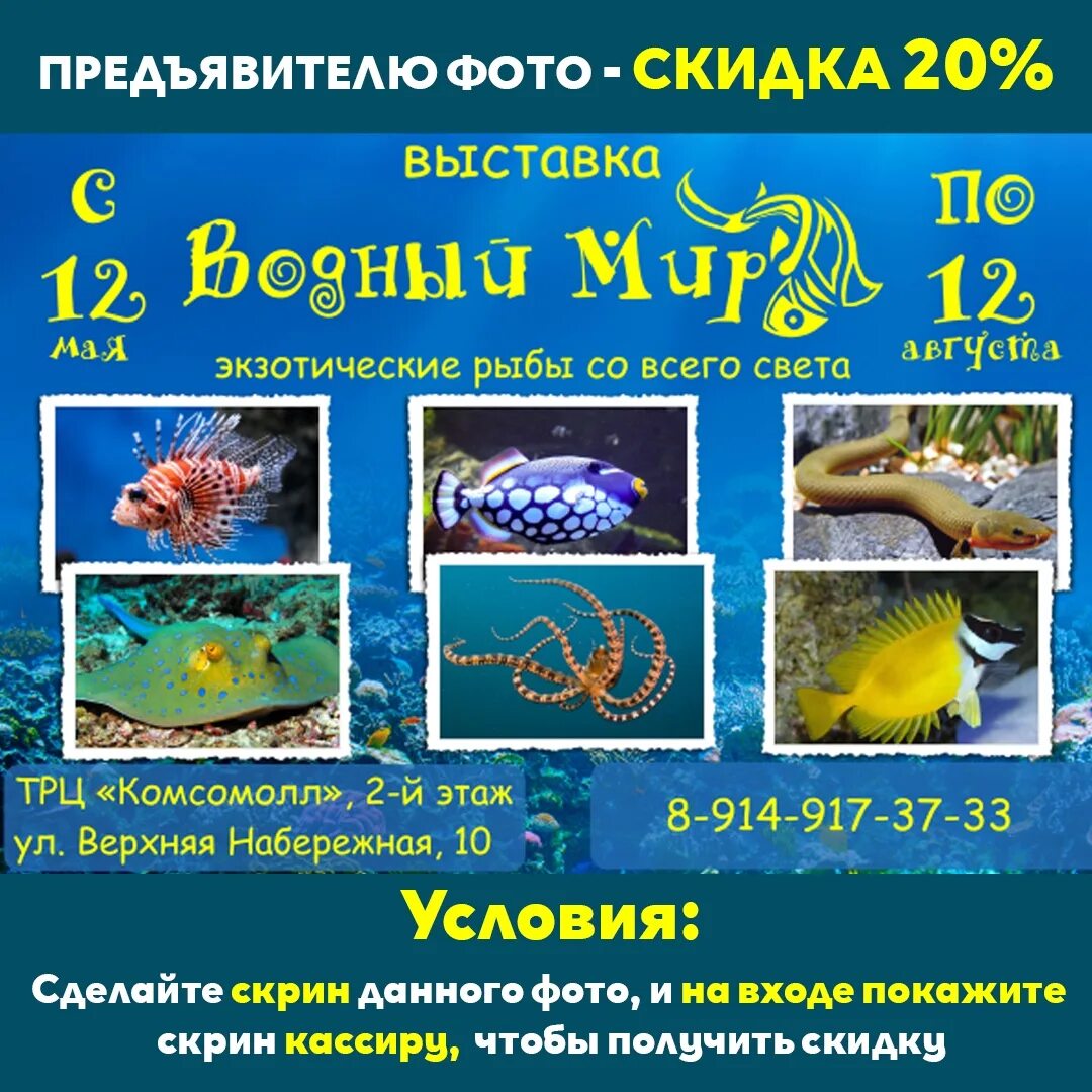 Выставка рыб в прокопьевске в победе. Выставка экзотических рыб. афиши выставка рыб. выставка рыб в новокузнецке. выставка рыба реклама.