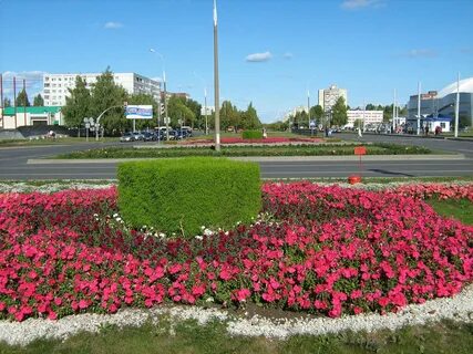 Цветы челны