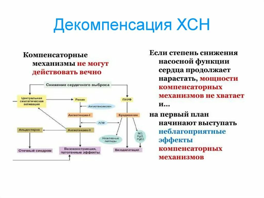 Декомпенсация что это. Степени декомпенсации ХСН. Признаки декомпенсации ХСН. ХСН стадии компенсации и декомпенсации. Хроническая сердечная недостаточность в стадии декомпенсации.