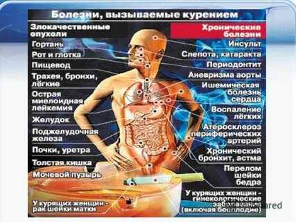 Какие болезни грозят курильщику дыхательной системы