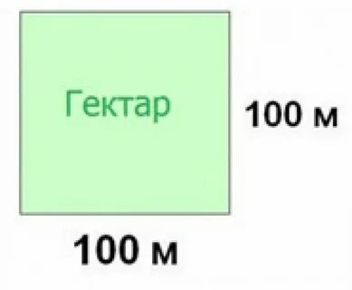 1 га сколько м2 калькулятор