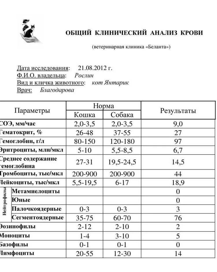Анализы на кошку у ребенка