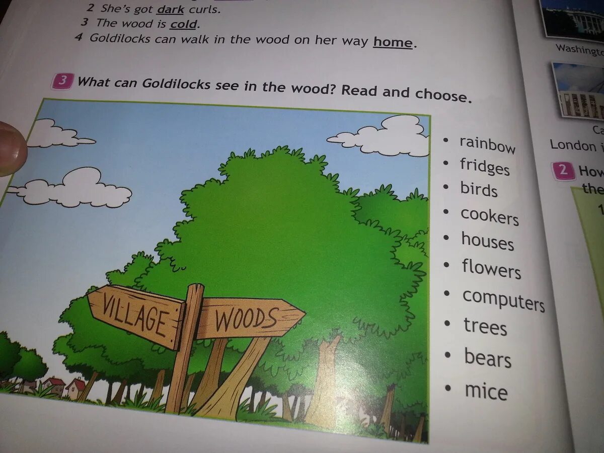 Goldilocks is ... The Wood перевод. Как переводится с английского на русский what can Goldilocks see in the Wood read and choose. Choose the correct answer what does Goldilocks like. 10 read and choose