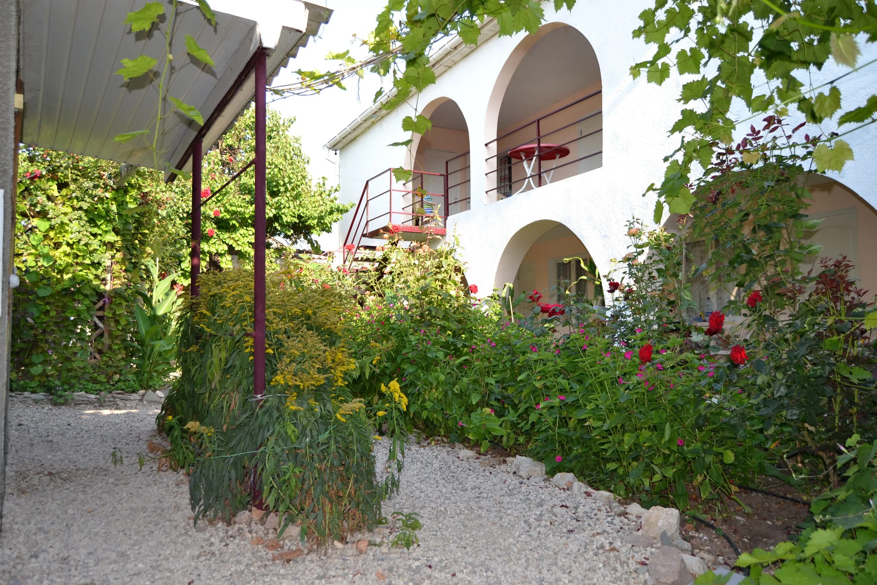 Николаевка скиф уют. Улица ленина николаевка крым. Адреса николаевка. Крым николаевка гостевой дом морской бриз. Адреса николаевка.