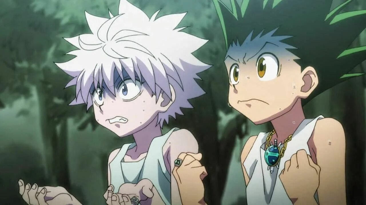 Hunter x Hunter Гон и Киллуа. Хантер х Хантер Киллуа. Хантер х ханте Килуа и Гон.