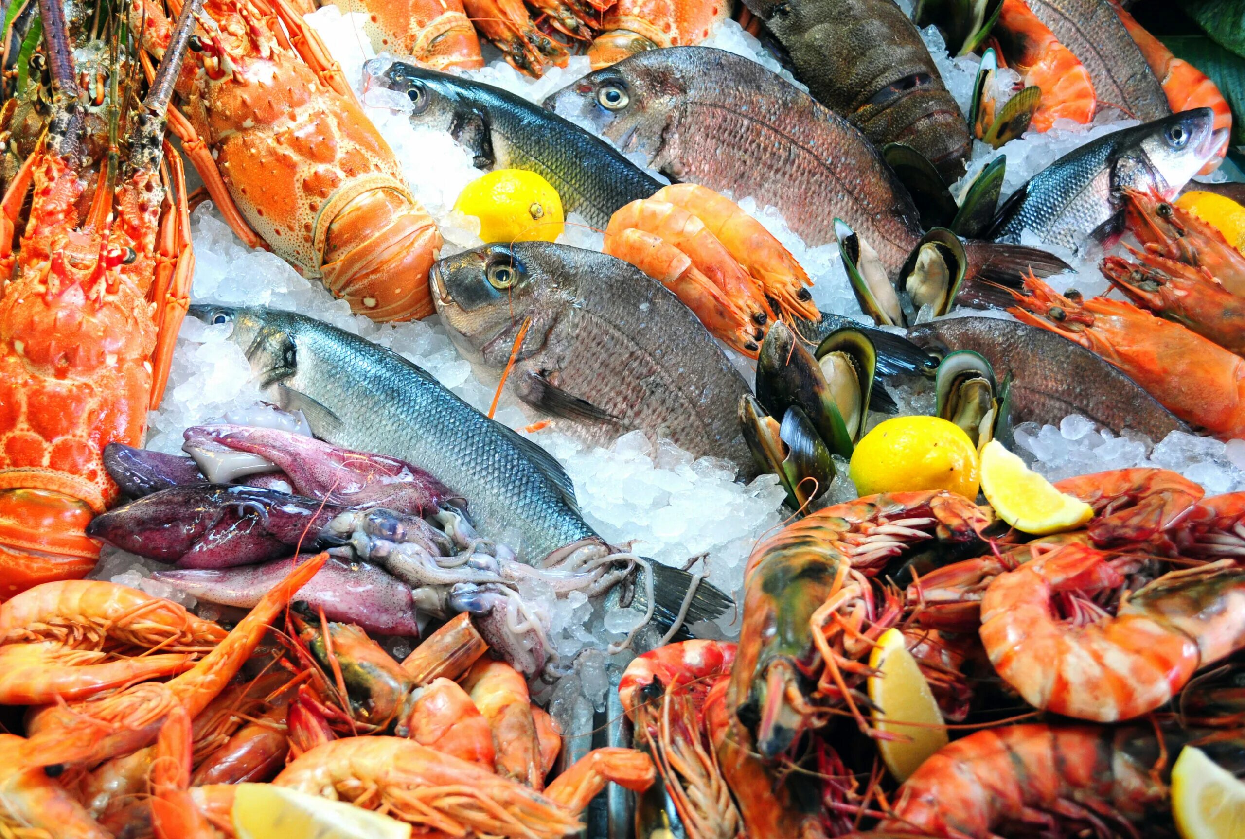 Кровь рыб в питании. Морепродукты. Рыбная продукция. Свежая рыба. Свежемороженная Рыьба.